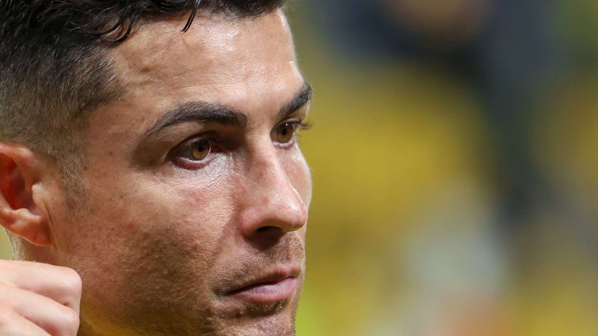 他们的表现 他们的表现