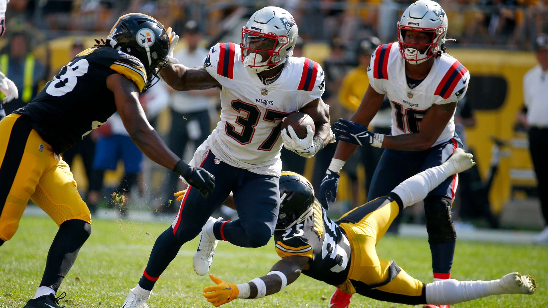 让他们在追 让他们在追