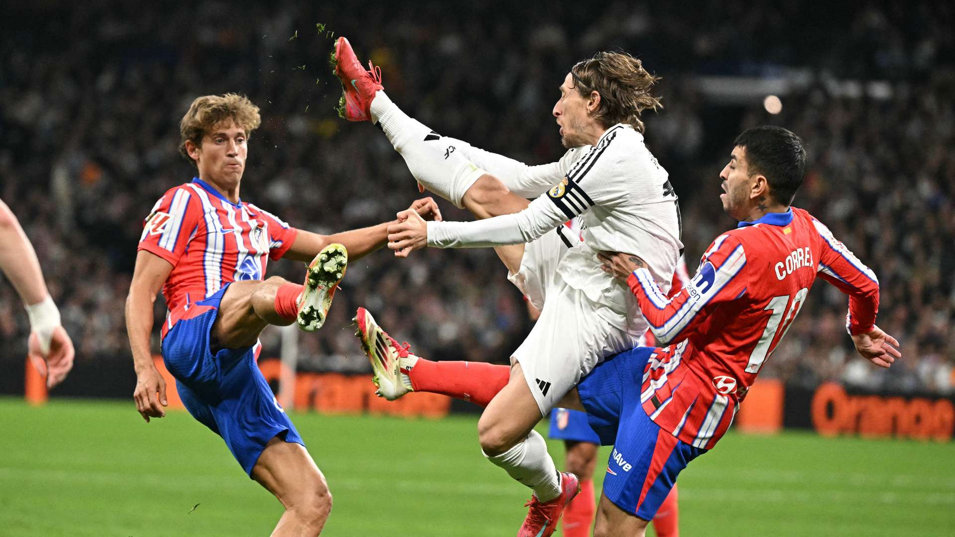 期待着每一 期待着每一